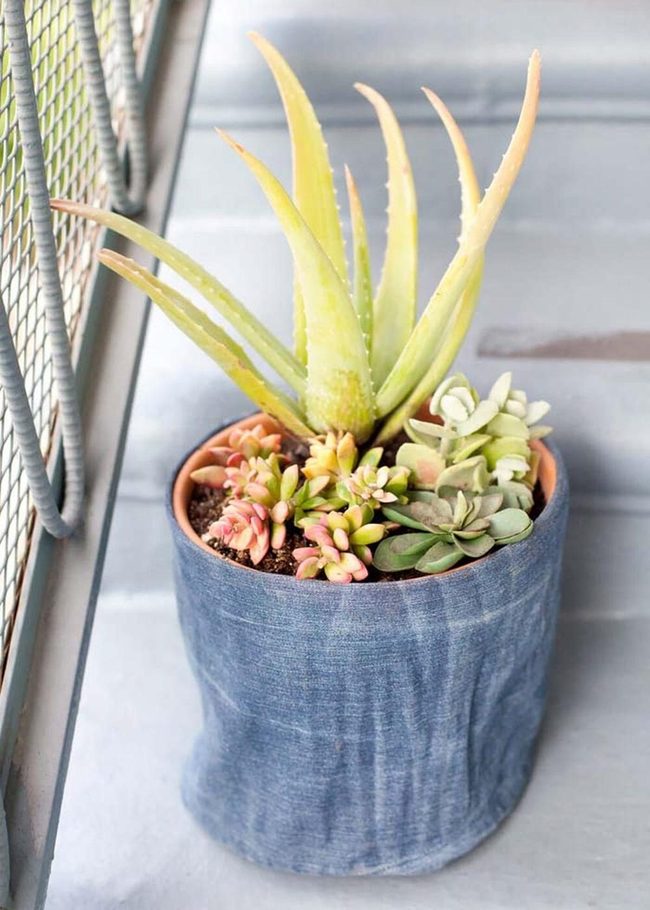 Denim Wrapped Flower Pots