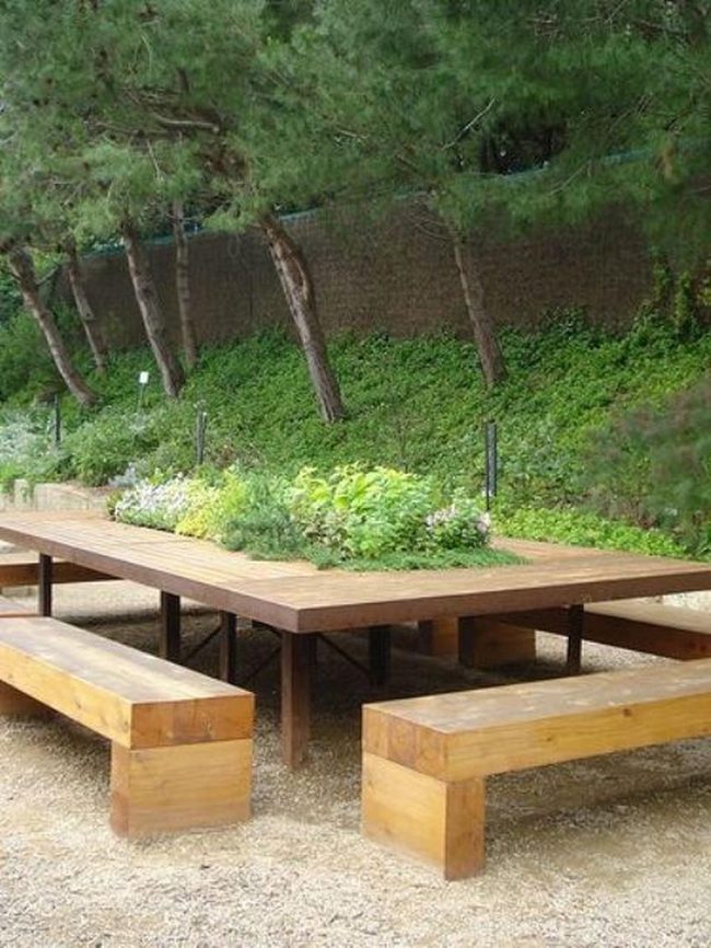 Shaded Wooden Gathering Beneath Towering Trees