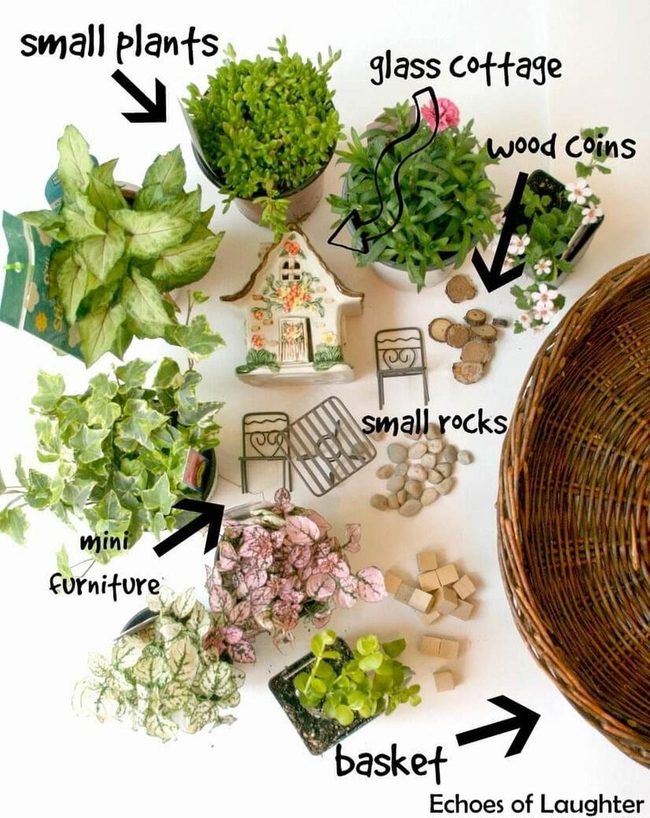 Miniature Worlds In Moss