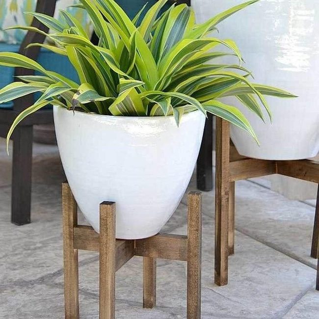 Elevated Green Layers Rise High