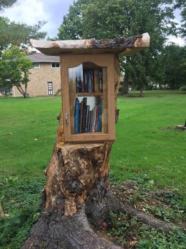 Tree Trunk Library Among Greenery