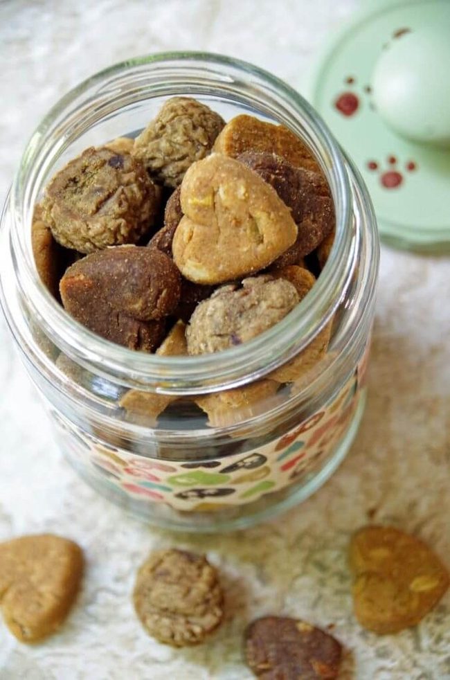 Recycled Jar Dog Treat Dispenser