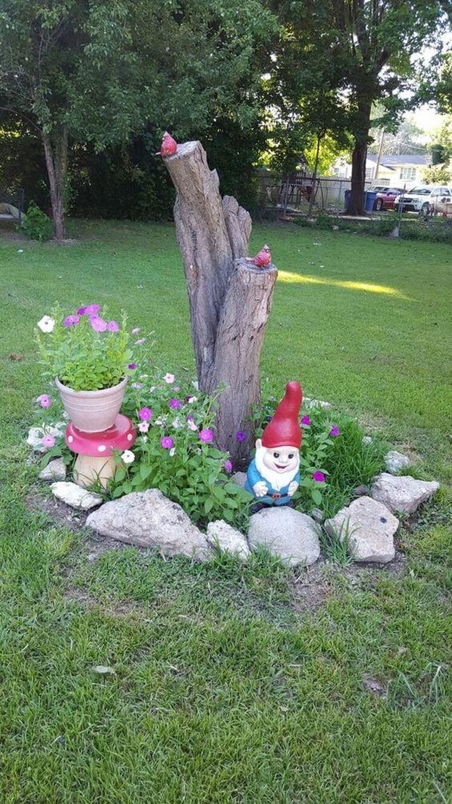 Stump Garden With Colorful Blooms