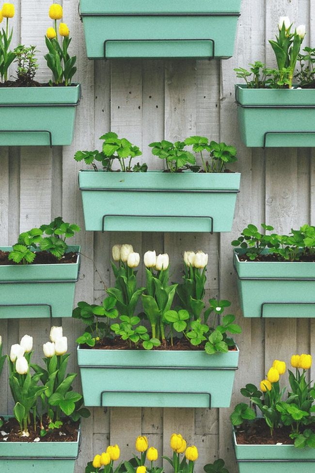 Cascading Green Wall Garden