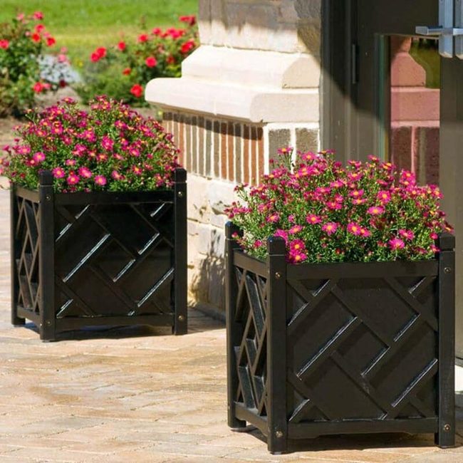 Patterned Planters Bold Entrance