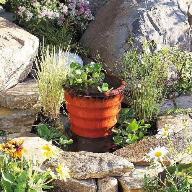 Backyard Water Feature For Birds