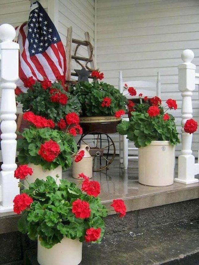 Crimson Blooms White Pots