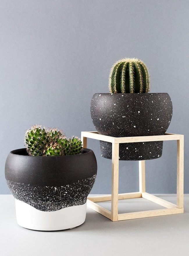 Black Speckled Cacti On Wood Cubes