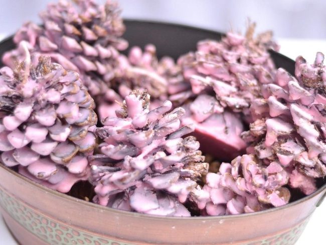 Rose-Tinted Pinecones In Metal