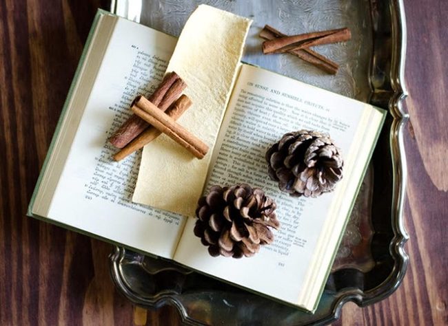 Cinnamon Sticks Beside Open Books