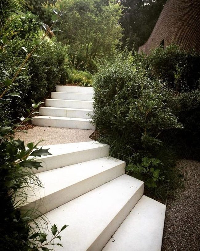 Stone Steps Through Leafy Shadows