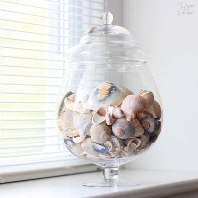 Transparent Jars Filled With Seashells