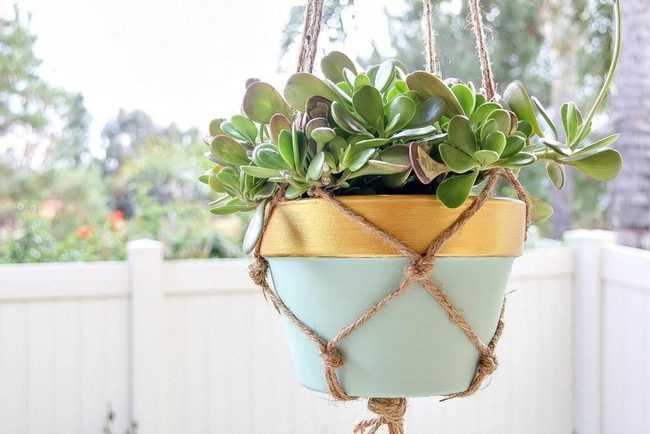 Suspended Greenery Natural Fiber Knots