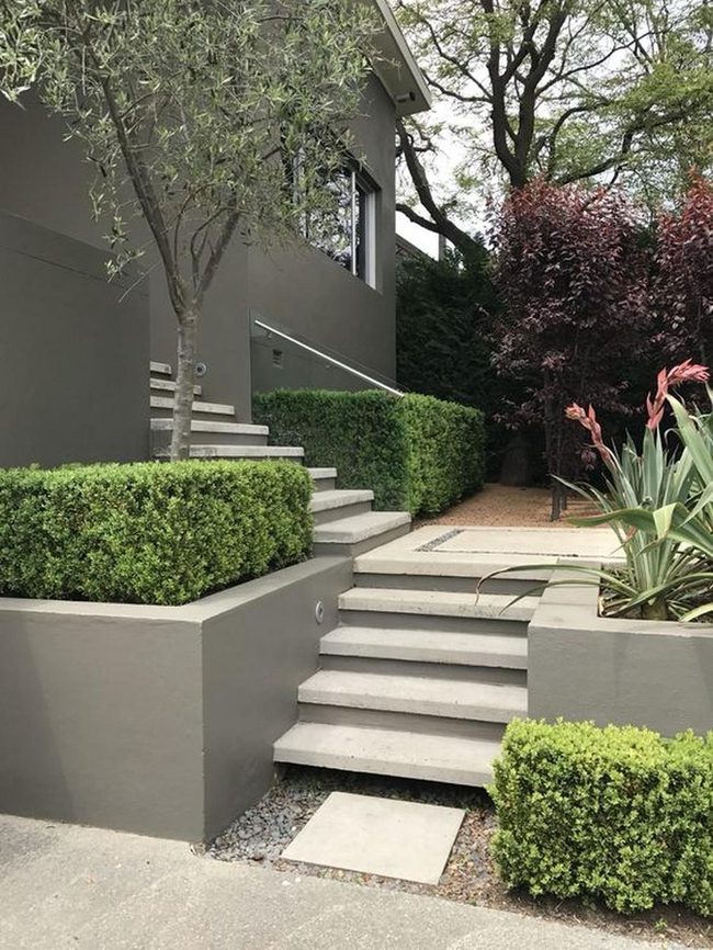 Pink Blooms Frame Gray Concrete Path