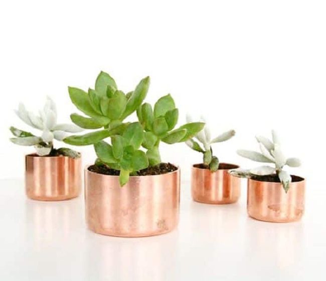 Copper Containers For Tiny Succulents