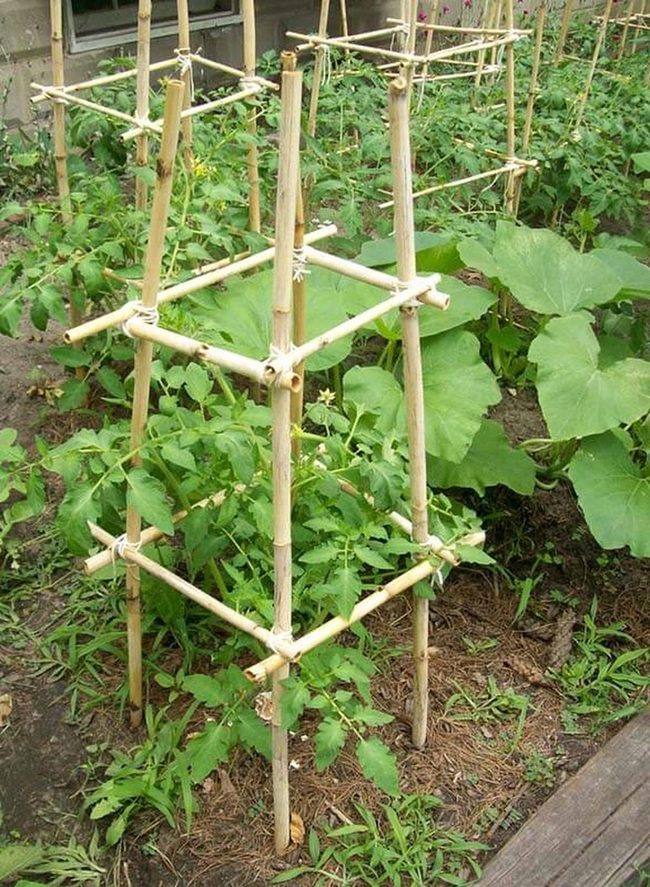 Bamboo Garden Support Natural Strength