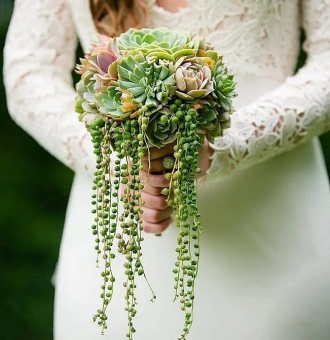 Living Succulent Lapel Statement