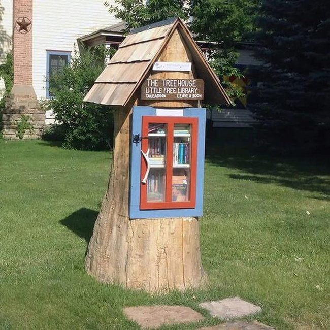 Outdoor Tree Stump Library