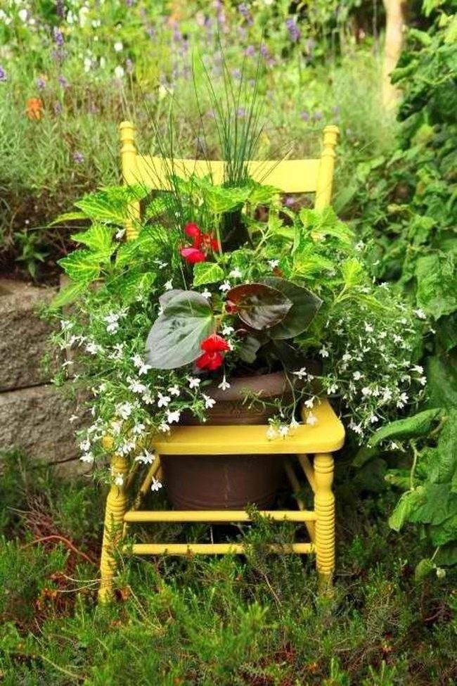 Yellow Chair Blooming Planter