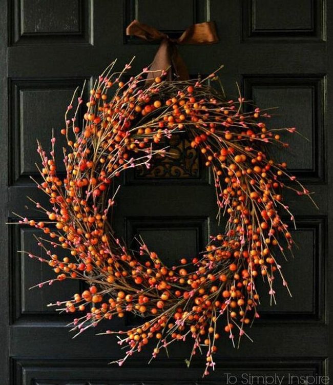 Orange Berry Grapevine Statement