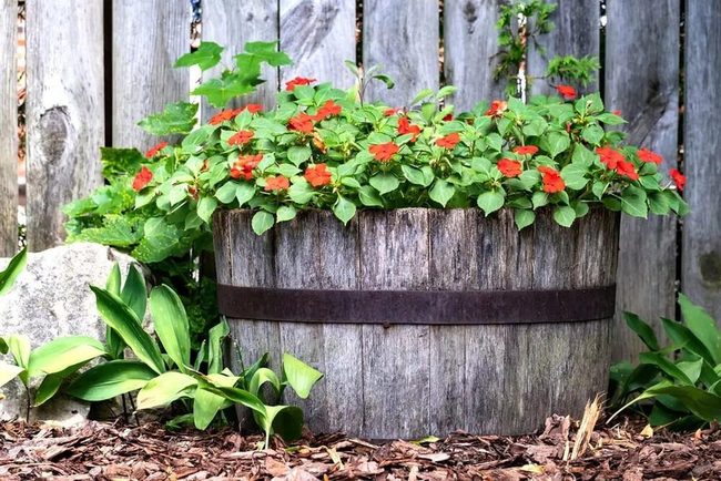 Weathered Wood Barrel Planters