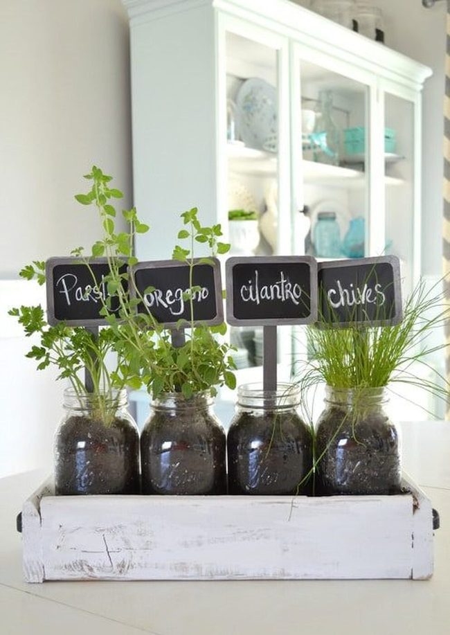 Fresh Herbs In Wooden Pallets