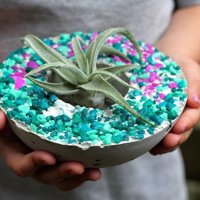 Concrete Pots Hold Fuzzy Green Air Plants