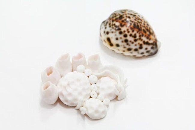 Spotted Shell Meets Textured Pearl