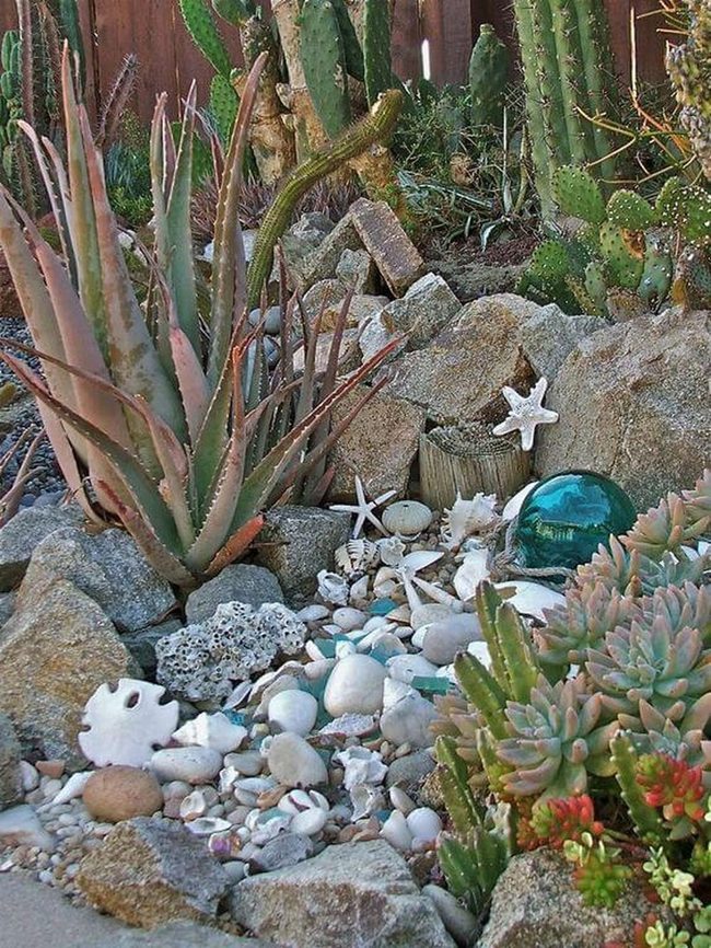 Shells And Succulents Coastal Display