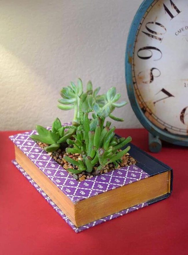 Purple Fabric Gold Pages Succulents