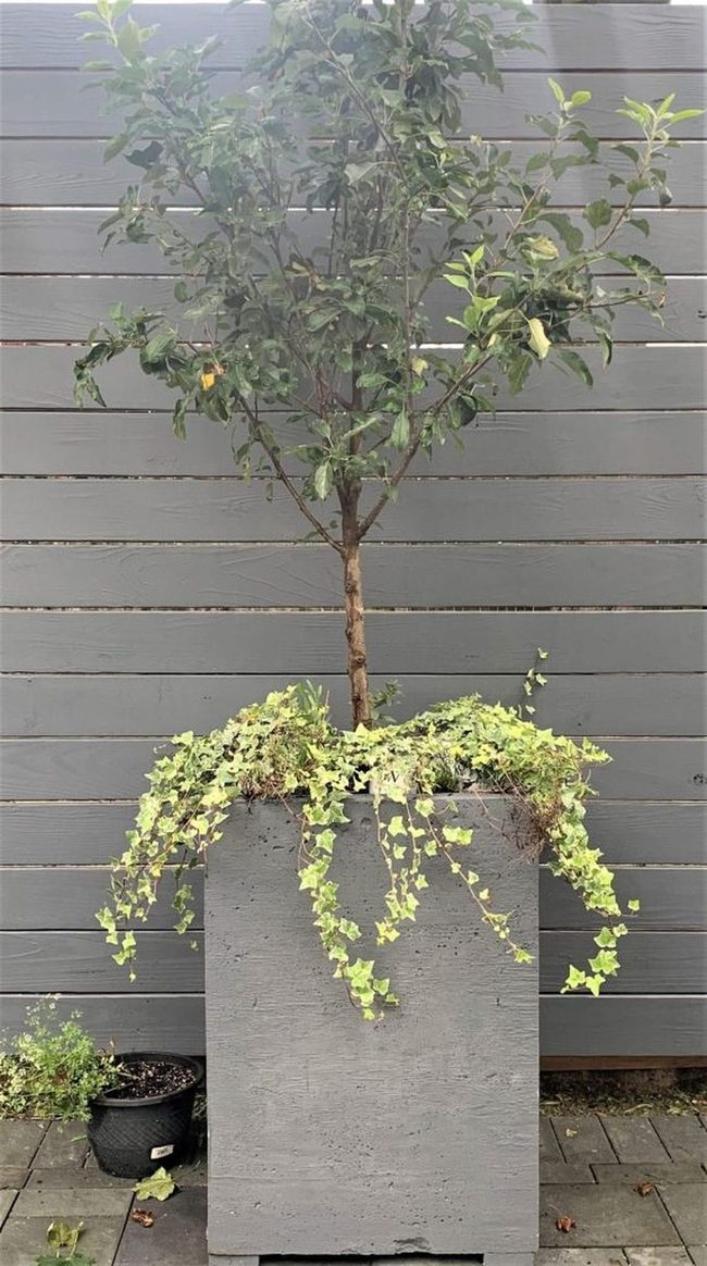 Grey Planters Green Minimalism