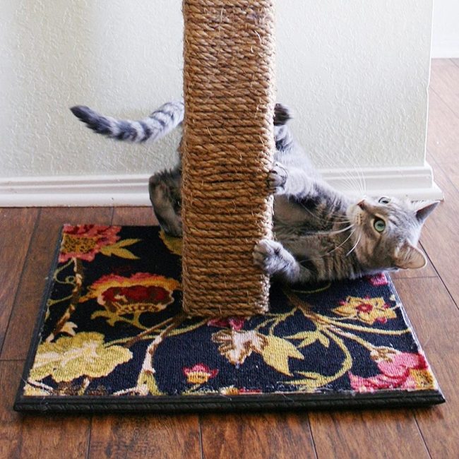 Sisal Rope Cat Climber