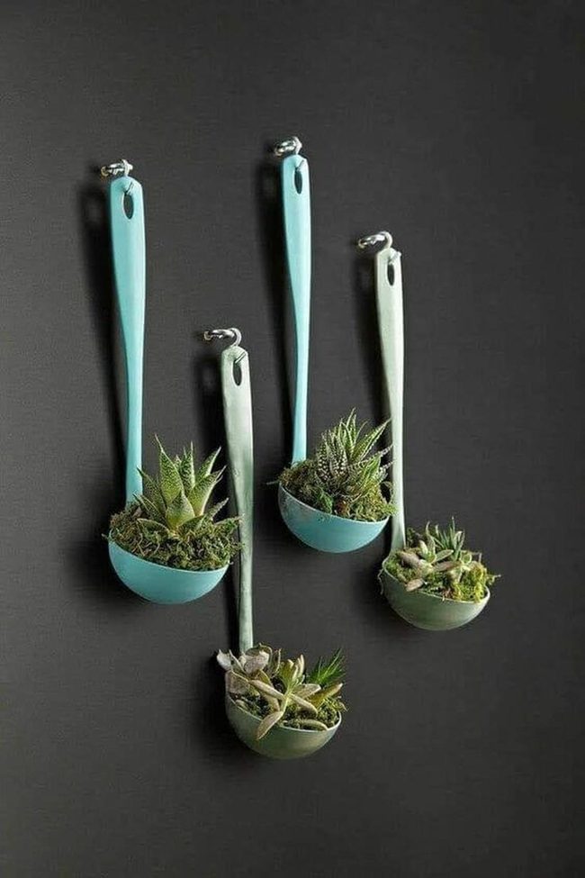 Ladles Overflowing With Living Plants