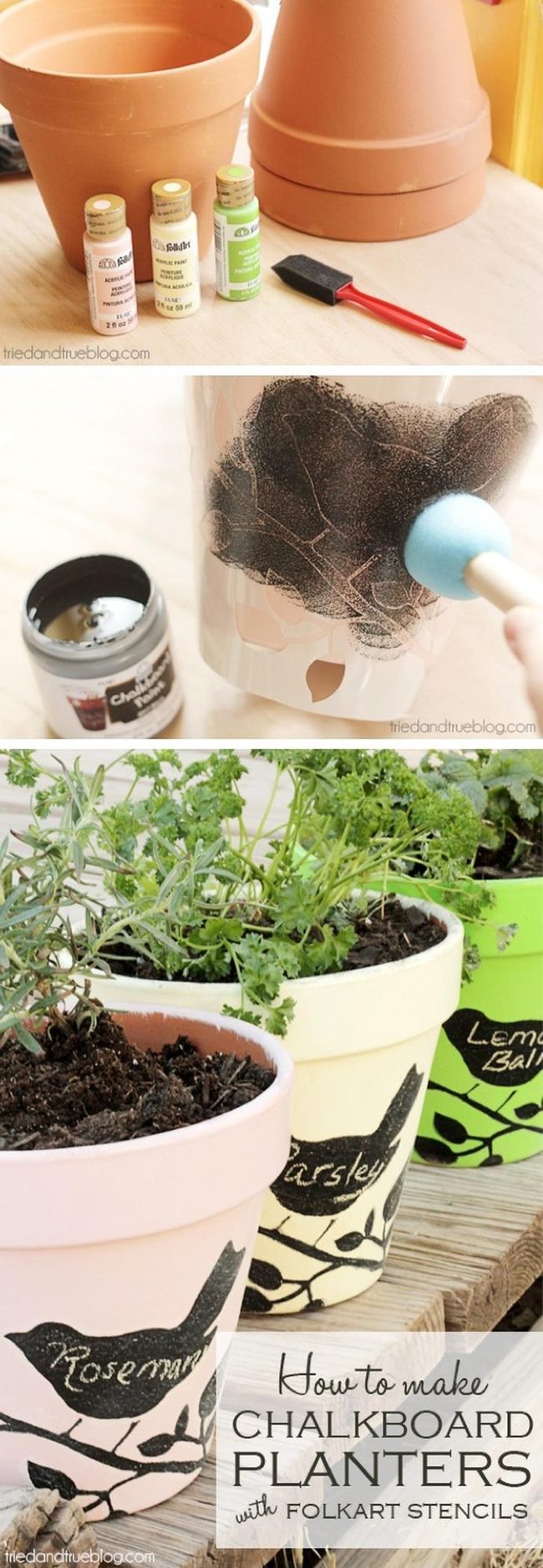 Personalized Terracotta Herb Planters