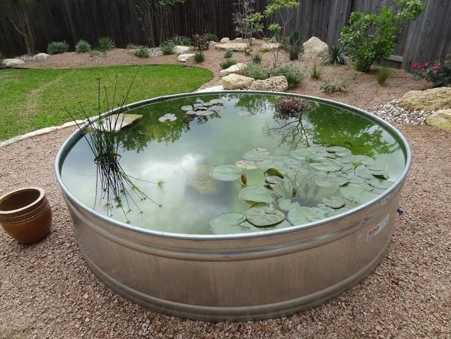Polished Metal Pond Reflections