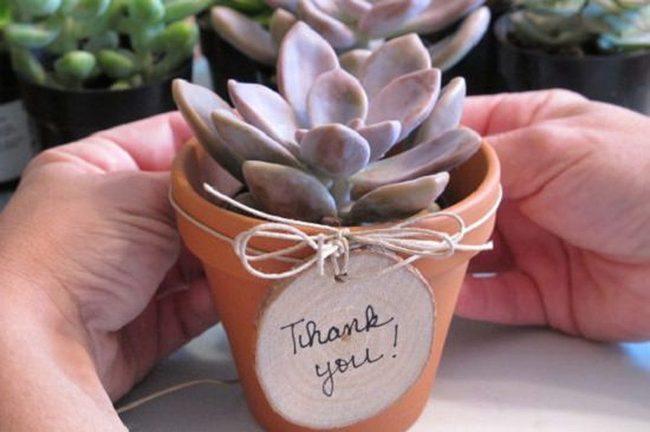 Tiny Green Gifts In Ceramic