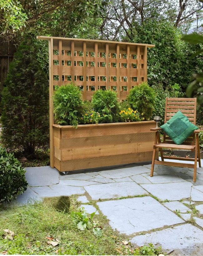 Wooden Lattice Climbing Planter
