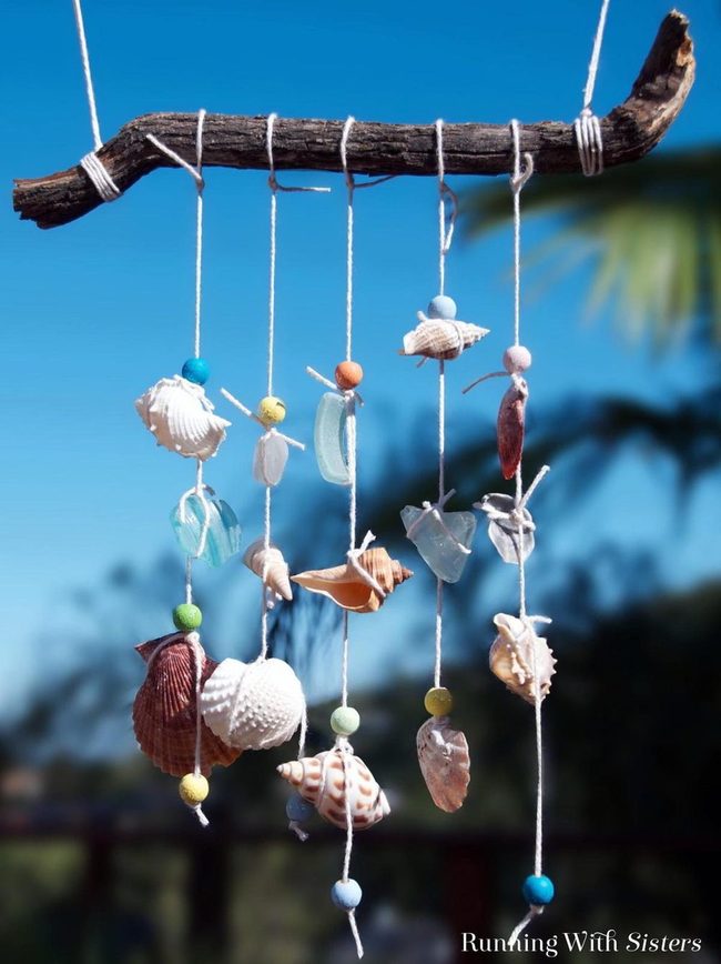 Seashells And Driftwood Overhead