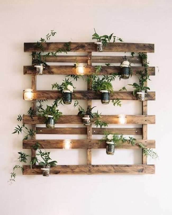 Wooden Pallets With Living Plants