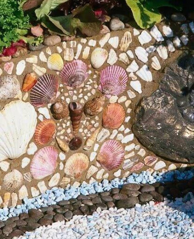 Scattered Shells Ocean Connection