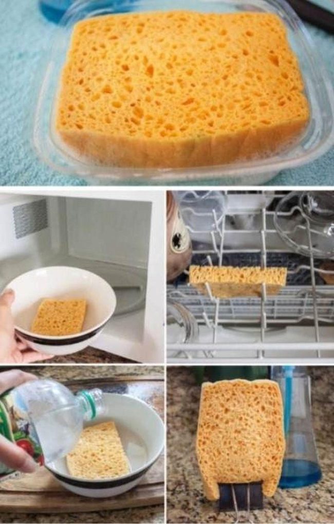 Vinegar Kills Kitchen Sponge Bacteria