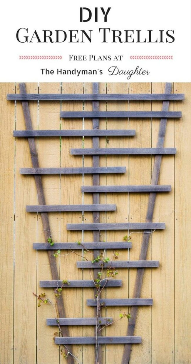 Geometric Garden Trellises For Climbers