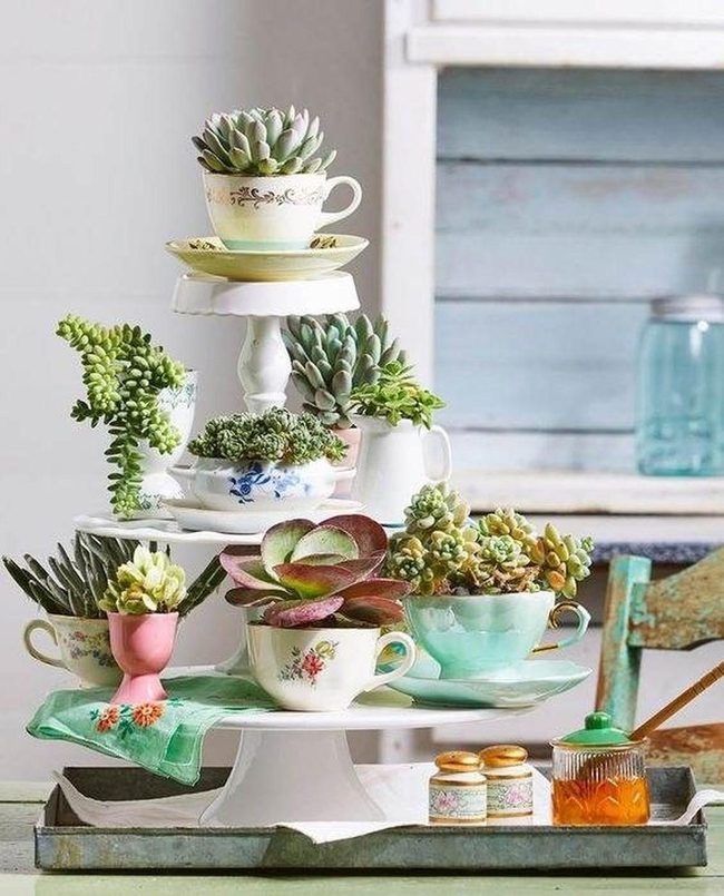 Vintage Teacups Growing Herbs