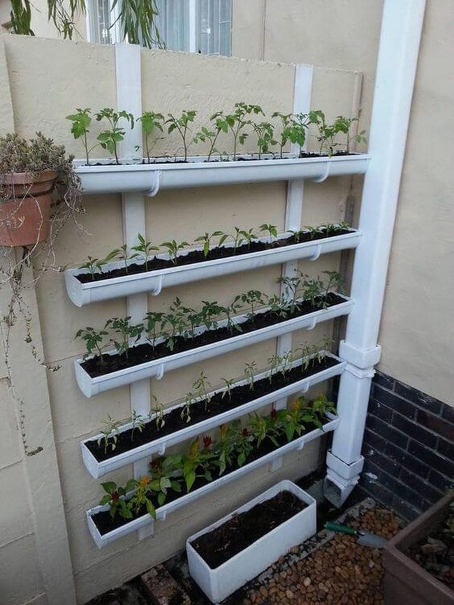 Vertical Garden Brick Wall