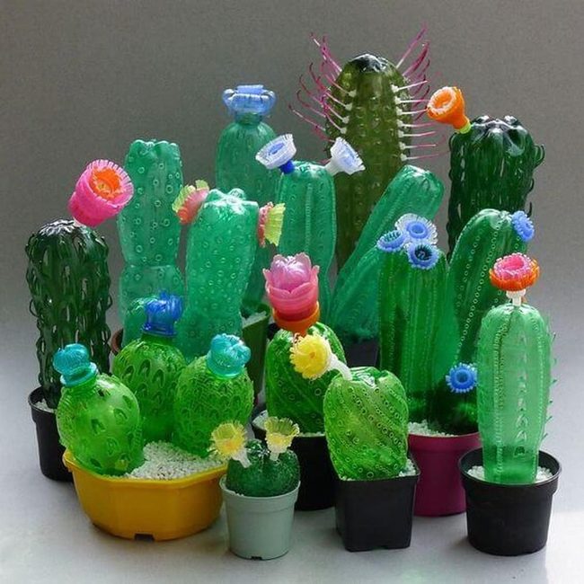 Painted Bottle Cacti Collection