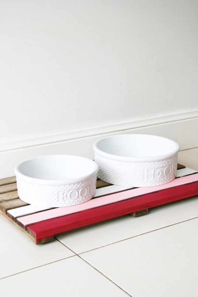 Recycled Pet Feeding Station