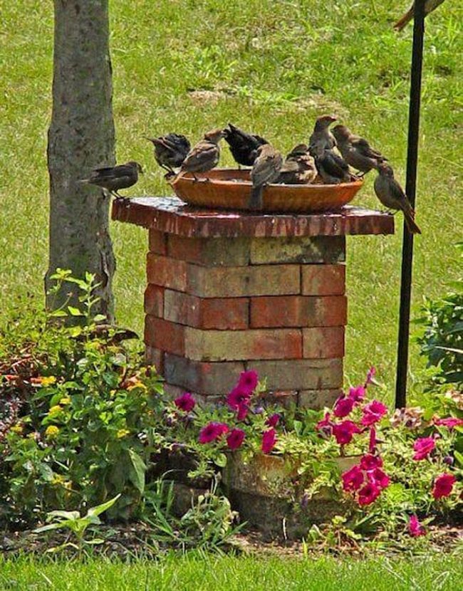 Brick Birdbath Garden Sanctuary