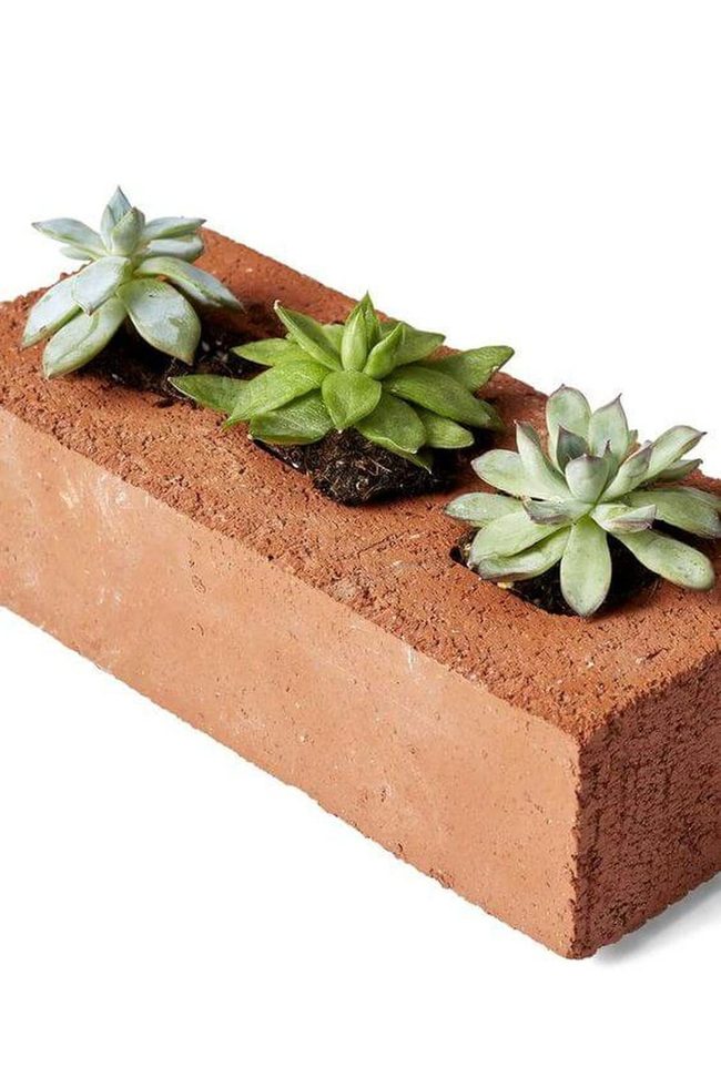 Earthy Red Brick Succulents