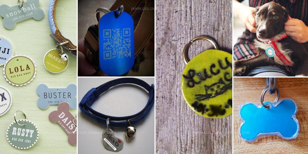 1284102 DIY Dog Tag Ideas