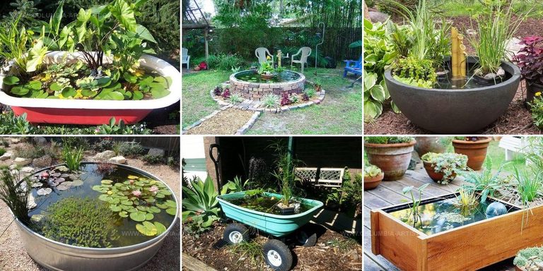 8986929 Mini Backyard Pond Containers